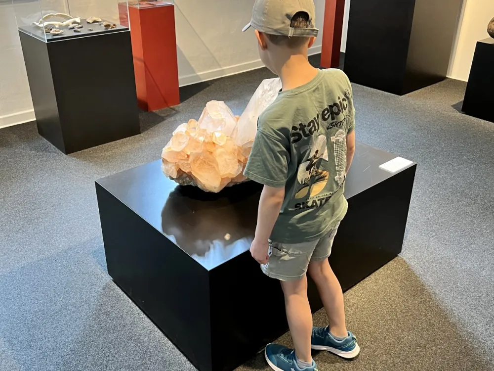 Kind betrachtet ein Ausstellungsstück und steht für neugierige Perspektiven im Familienalltag